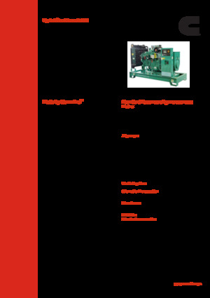 Diesel Power Generators Cummins C100 D5