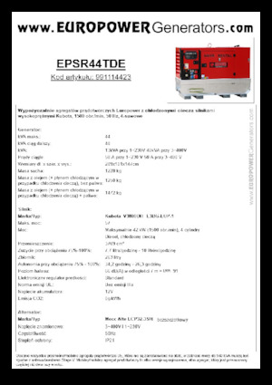 Diesel Power Generators Europower EPSR44TDE (MA)