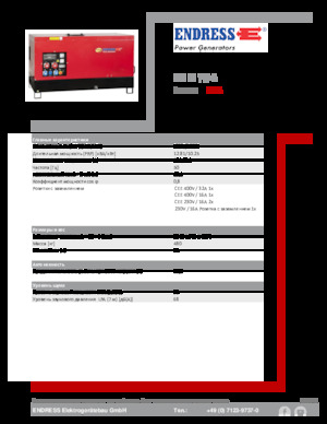 Diesel Power Generators Endress ESE 15 YW-B
