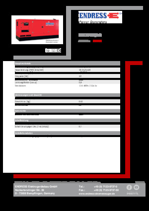 Diesel Power Generators Endress ESE 20 YW/AS 