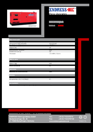 Diesel Power Generators Endress ESE 20 YW/AS 