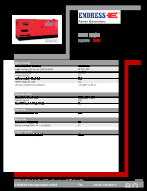Diesel Power Generators Endress ESE 20 YW/AS 
