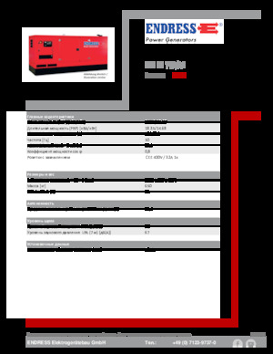 Diesel Power Generators Endress ESE 20 YW/AS 
