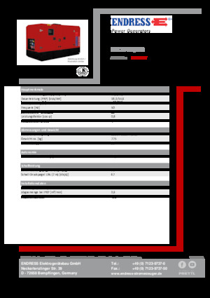 Diesel Power Generators Endress ESE 20 YW/MS 