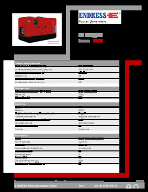 Diesel Power Generators Endress ESE 200 IW/MS