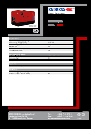 Diesel Power Generators Endress ESE 35 YW/MS