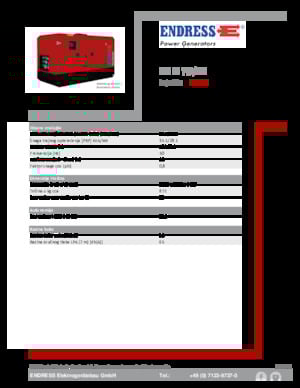 Diesel Power Generators Endress ESE 35 YW/MS