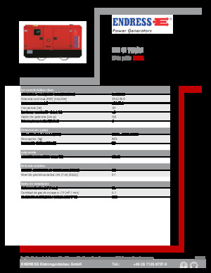 Diesel Power Generators Endress ESE 40 YW/AS 
