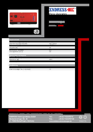 Diesel Power Generators Endress ESE 405 VW/AS 