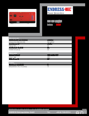 Diesel Power Generators Endress ESE 405 VW/AS 