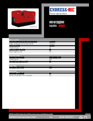 Diesel Power Generators Endress ESE 45 YW/MS