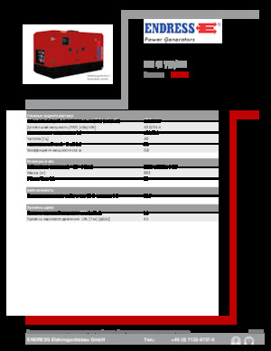 Diesel Power Generators Endress ESE 45 YW/MS