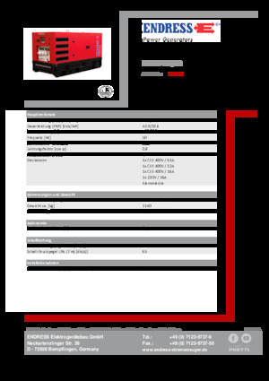 Diesel Power Generators Endress ESE 45 YW/RS