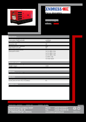 Diesel Power Generators Endress ESE 45 YW/RS