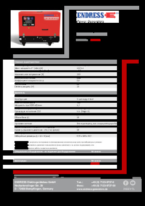 Gasoline Power Generators Endress ESE 608 YS-GT ES DI