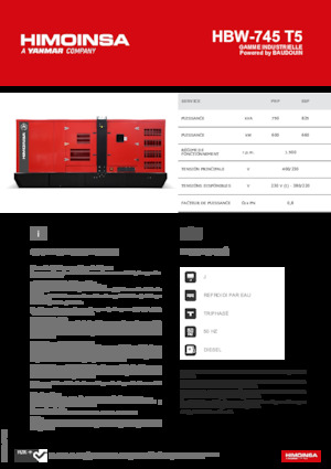 Diesel Power Generators HIMOINSA HBW-745 T5