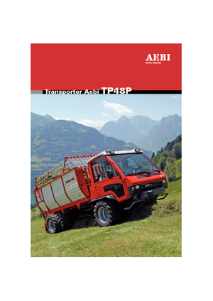 Belediye çok amaçlı araçlar dizel Aebi TP 48 P