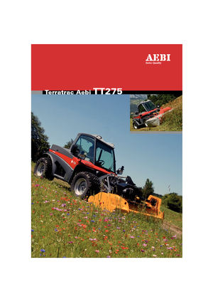 Belediye çok amaçlı araçlar dizel Aebi TT 275