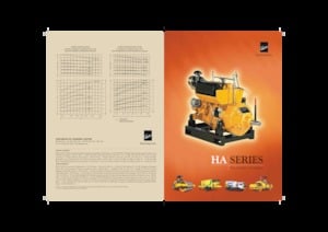 Motorlar Kirloskar HA494T