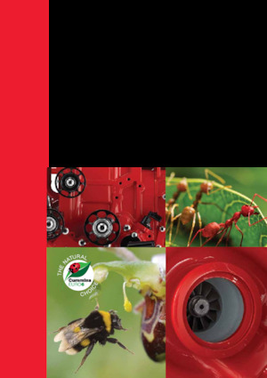 Engines Cummins ISB4.5