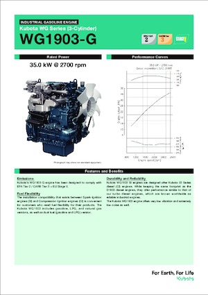 Engines Kubota WG1903-G
