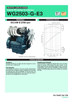 Engines Kubota WG2503-G-E3