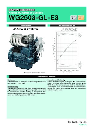 Engines Kubota WG2503-GL-E3