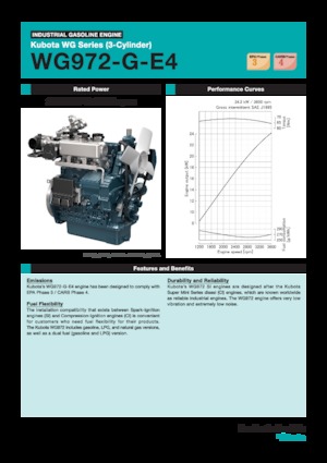 Engines Kubota WG972-G-E4