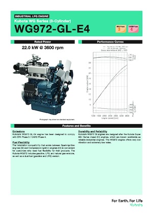 Engines Kubota WG972-GL-E4