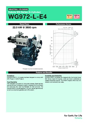 Motorlar Kubota WG972-L-E4