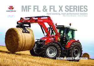 Front loaders Massey Ferguson MF FL,3919X