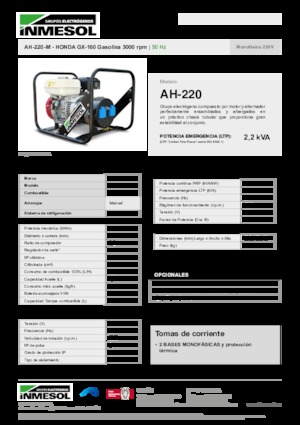 Benzinli Jeneratörler INMESOL AH-220-M