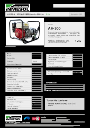Gasoline Power Generators INMESOL AH-300-M