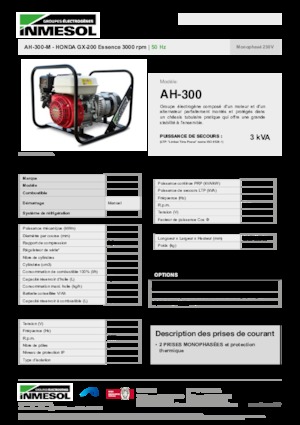 Gasoline Power Generators INMESOL AH-300-M