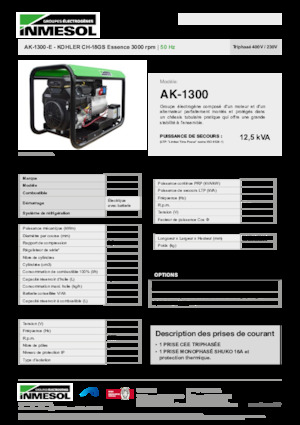 Gasoline Power Generators INMESOL AK-1300-E