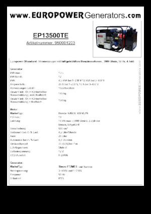 Gasoline Power Generators Europower EP13500TE (S)