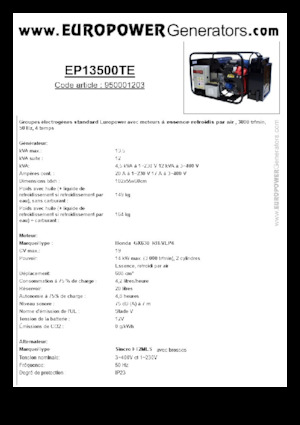 Gasoline Power Generators Europower EP13500TE (S)