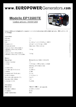 Gasoline Power Generators Europower EP13500TE (S)