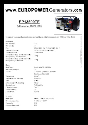 Gasoline Power Generators Europower EP13500TE (S)