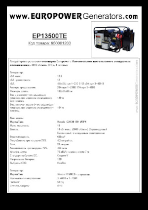 Gasoline Power Generators Europower EP13500TE (S)