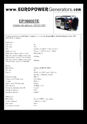 Gasoline Power Generators Europower EP16000TE (S)