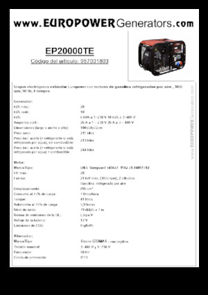 Gasoline Power Generators Europower EP20000TE (S)