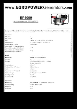 Gasoline Power Generators Europower EP6000 (S)