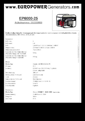 Gasoline Power Generators Europower EP6000-25 (S)