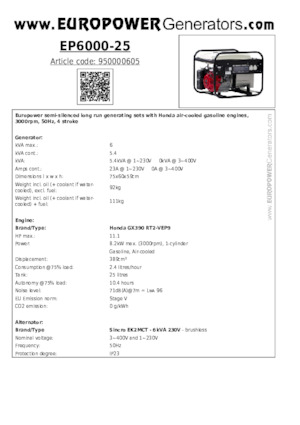 Gasoline Power Generators Europower EP6000-25 (S)