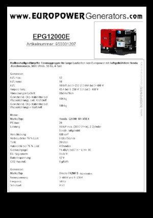 Gasoline Power Generators Europower EPG12000E (S)