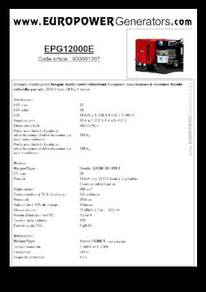 Benzinli Jeneratörler Europower EPG12000E (S)