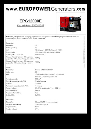 Benzinli Jeneratörler Europower EPG12000E (S)