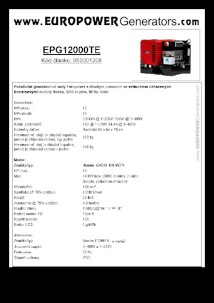 Gasoline Power Generators Europower EPG12000TE (S)