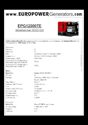 Gasoline Power Generators Europower EPG12000TE (S)